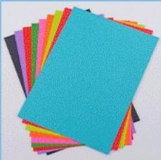 Special Paper