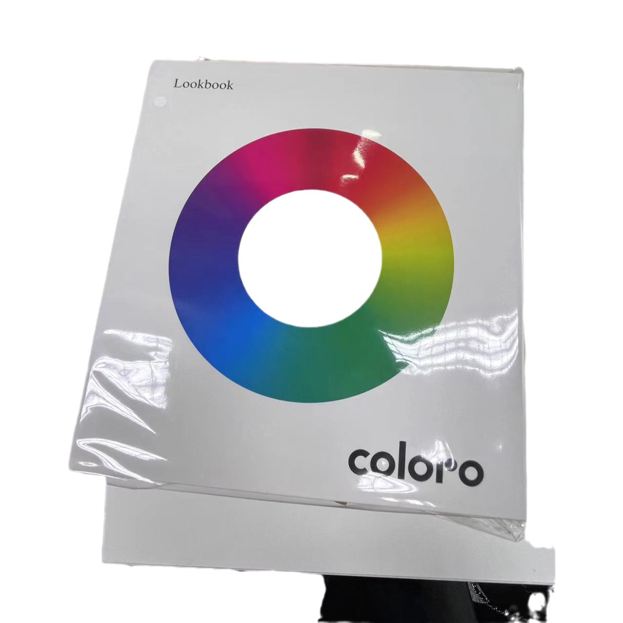 Custom Coloro Color Swatch Book, Textile Palette Lookbook, and Professional Fashion Color System Presentation Binder