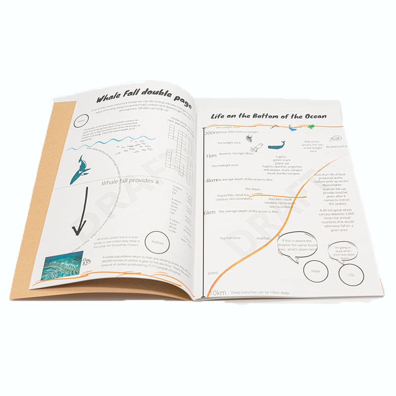 Custom Art Paper Color Book Printing, Educational Textbooks, Training Materials, and Hardcover Picture Books with Full-Color Layouts for Schools and Corporate Training